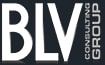 BLV Consulting Group : Cabinet RH en Bretagne - Plérin, Rennes, Vannes, Brest (Accueil)